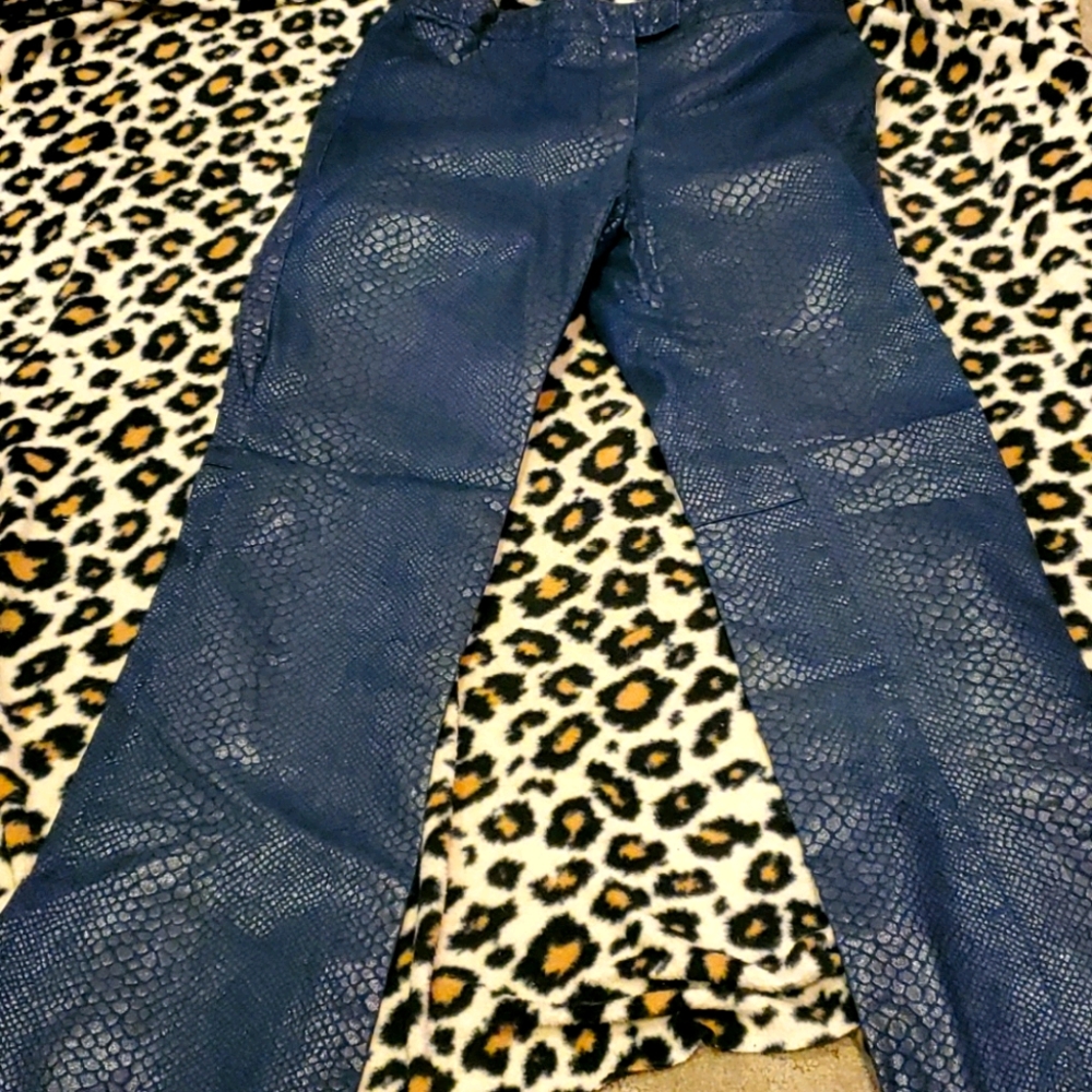 Elegant Blue Flare Pants
